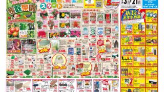 43df8b77ae08f65baa8ace315c8b69